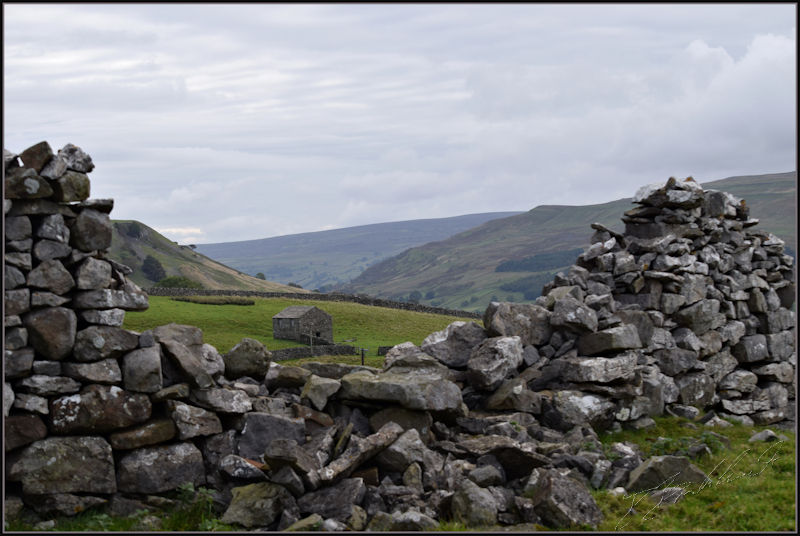 Swaledale walls and barn