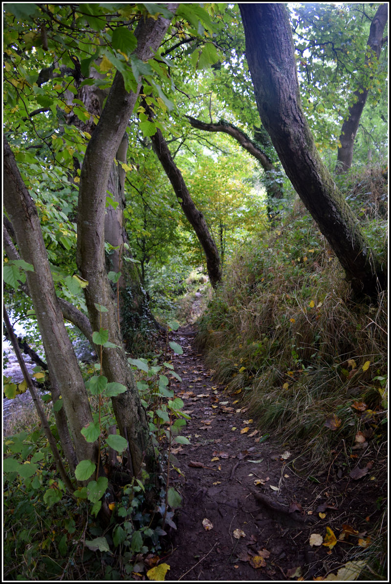 Riverside down a narrow path
