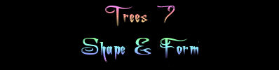 Trees 7