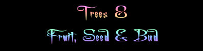 Trees 8